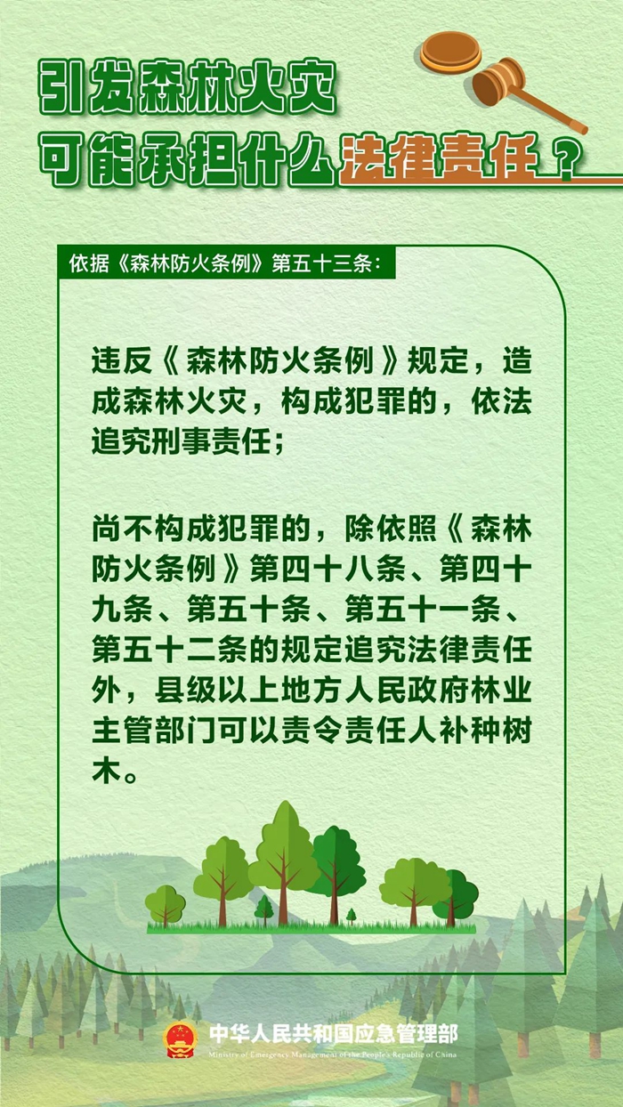 森林圖片1.jpg 森林圖片1.jpg